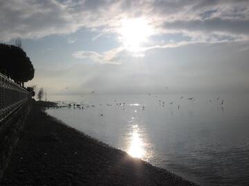 Public Photo of AdoroLeBelleDonne